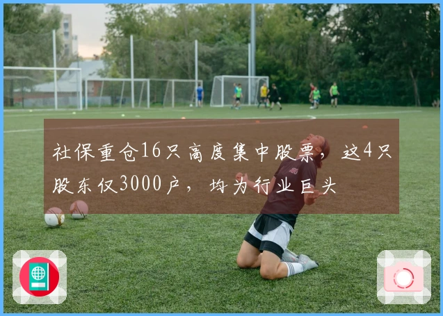 社保重仓16只高度集中股票，这4只股东仅3000户，均为行业巨头