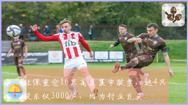 社保重仓16只高度集中股票，这4只股东仅3000户，均为行业巨头