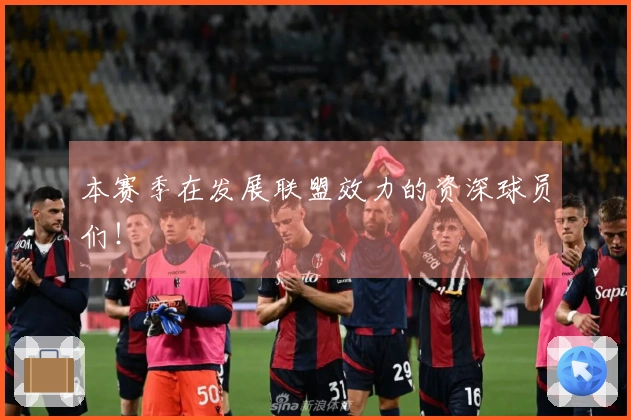 本赛季在发展联盟效力的资深球员们！