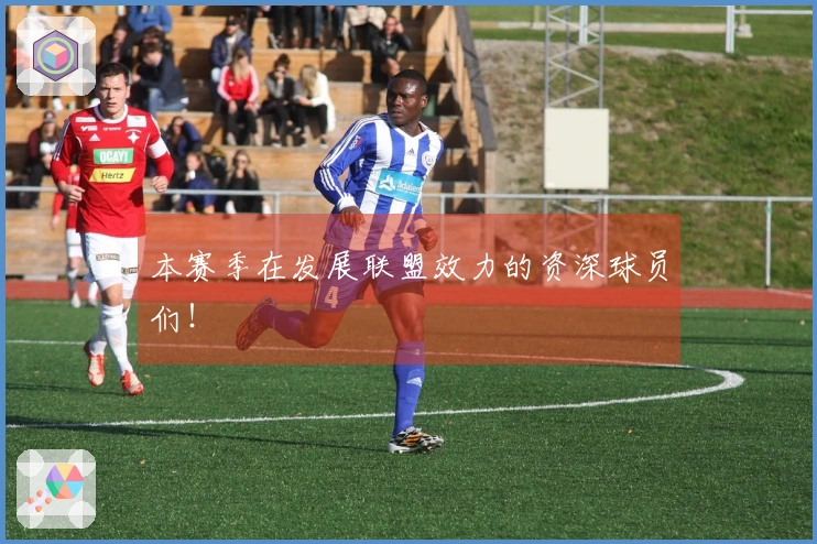 本赛季在发展联盟效力的资深球员们！